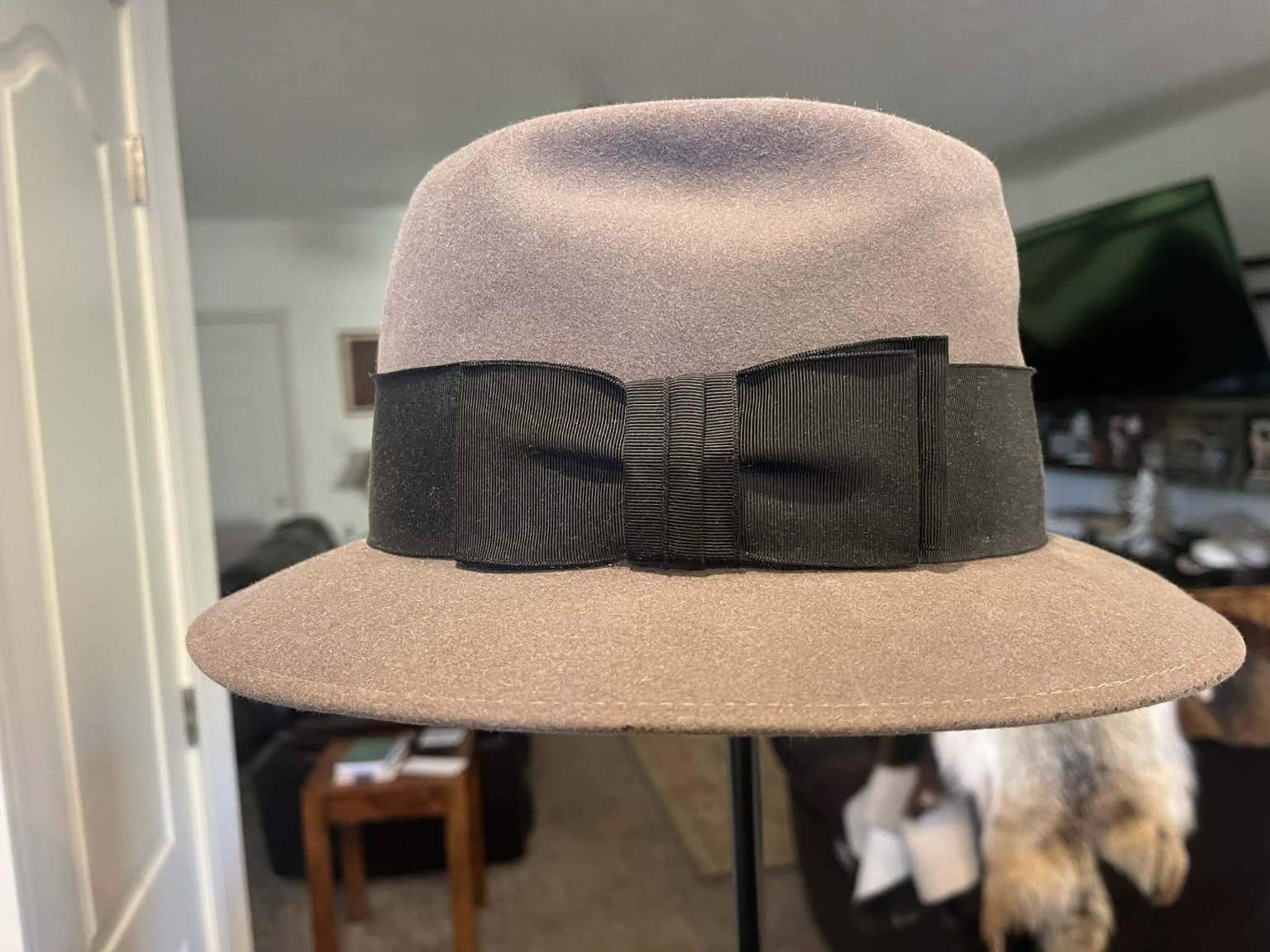 Fedora side profile