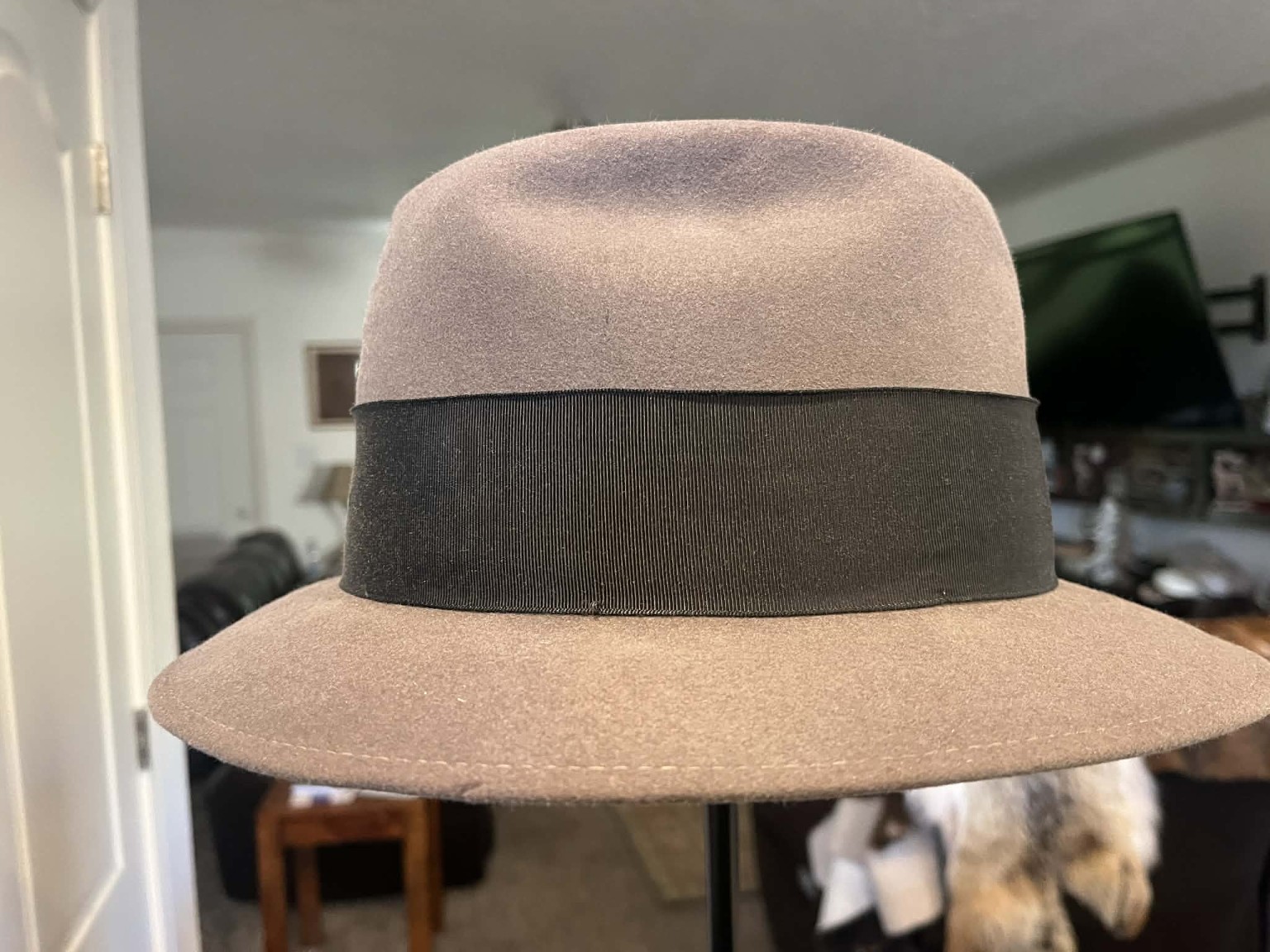 Fedora front profile