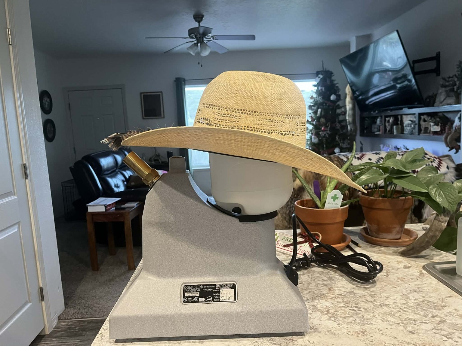 Straw hat side profile